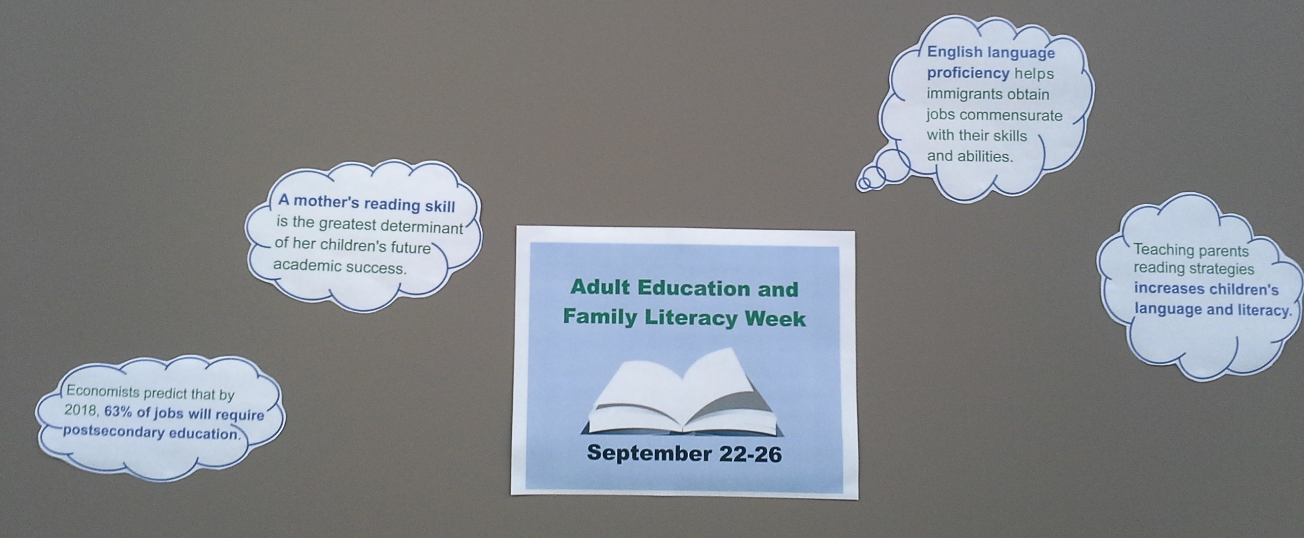 Adult Education and Family Literacy facts